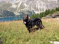 Ki-Shani